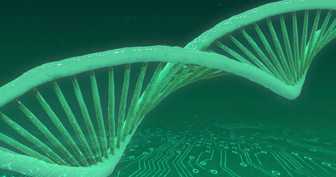 Animation of dna helix rotating over electronic circuit board patterns on abstract background