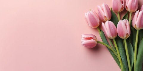 Tulip Flower, Generative AI