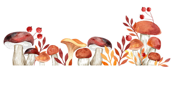 Watercolor square frame on white background. Painted forest mushrooms, rowan berries, leaves and grass.