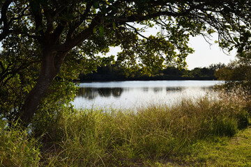 Backlit wide shot South Pine river Bald Hills Queensland Australia early morning sunlight looking east 