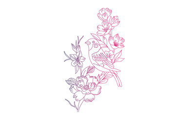 pink flower isolated on white Bird line art design.