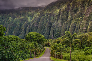 Sunrise at Hoʻomaluhia botanical garden. Road entrance to Hoʻomaluhia Botanical Garden with the big Koolau mountain backdrop. Oahu, Hawaii Islands, USA