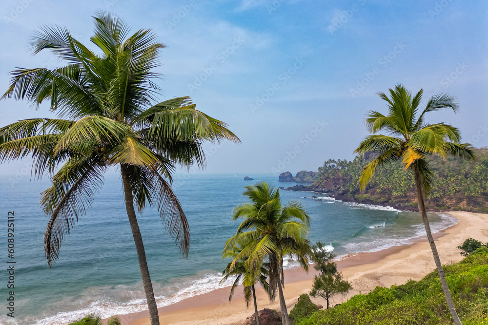 Wall mural Aerial top view on tropical beach with green palm trees under sunlight Drone view in Goa