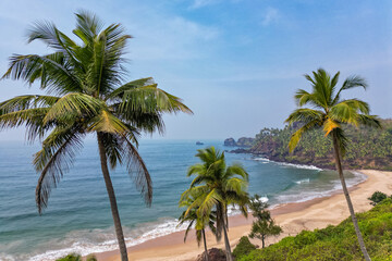 Fototapeta na wymiar Aerial top view on tropical beach with green palm trees under sunlight Drone view in Goa