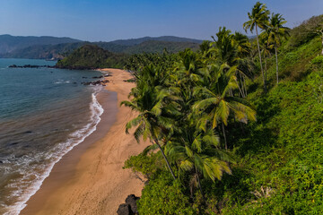 Aerial top view on tropical beach with green palm trees under sunlight Drone view in Goa