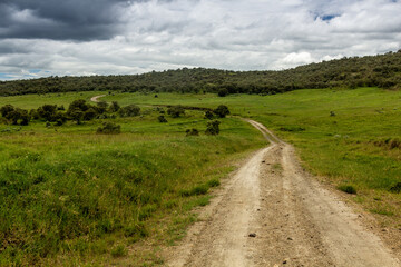 Track in the Hell's Gate National Park, Kenya