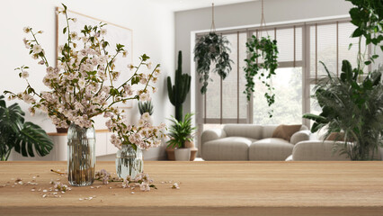 Wooden table, desk or shelf close up with branches of cherry blossoms in glass vase over blurred view of minimal living room with sofas, urban jungle interior design concept