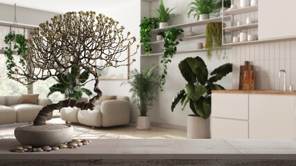 Vintage wooden table shelf with pebble and potted bloom bonsai, white flowers, over modern kitchen and living room minimalist interior design, urban jungle concept idea