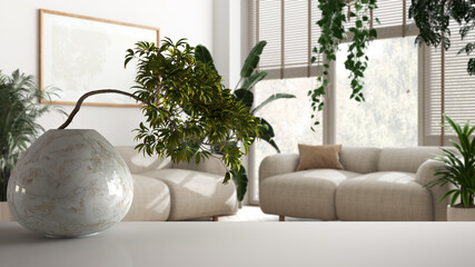 White mat table shelf with round marble vase and potted bonsai, green leaves, over white living room with sofa, minimalist interior design, urban jungle concept idea