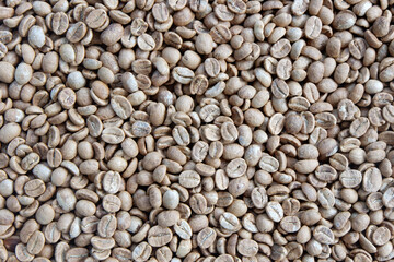 Coffee beans for nature background. 
