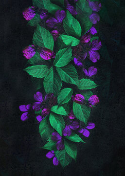 Purple flowers and green leafes on dark background decay in shadows behind wet, condesated glas while water drops flowing down slightly changed