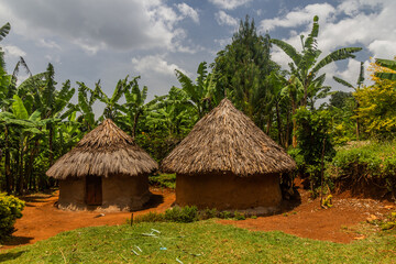 Fototapeta na wymiar Rural houses near Sipi village, Uganda