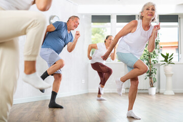 Group of happy mature sports women and man in activewear exercising dynamic dancing movemens in...