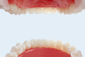 Inside mouth view. Shot from mouth patient of dentist. Concept of oral hygiene in the family.