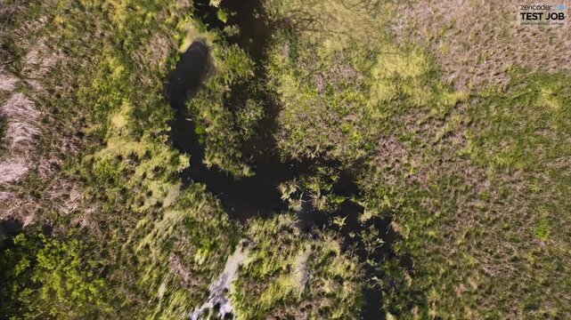Bird's eye view of a small creek running through Marsh Land.