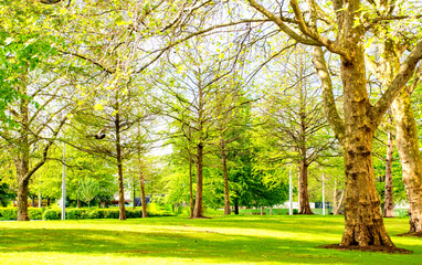 Landscape of Green Garden at London