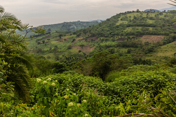 Fototapeta na wymiar Lush rural landscape of the crater lakes region near Fort Portal, Uganda