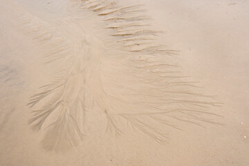 Fototapeta na wymiar Strukturen im Sand, Nordsee, Schleswig-Holstein, Deutschland, Europa