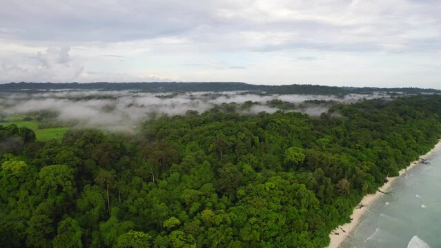Formation of cloud forest
Islands rain forests is a tropical moist broadleaf forest ecoregion in the Indian Islands. 