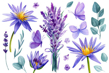 Flowers set on an isolated white background. Watercolor illustrations. Purple lotus, lavender, eucalyptus and butterfly