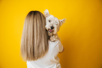 portrait of a beautiful young girl with a dog in her arms on a yellow background, the girl hugs her...