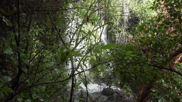 Slow-motion waterfall in sunlight - Newton's Waterfall, Akaroa (New Zealand)