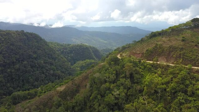 Yungas mountainous jungle in Bolivia