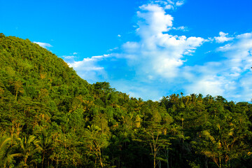 Tranquil forest landscape with hills, trees, and blue sky