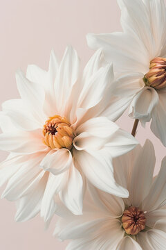 flowers in the style of romantic soft focus and ethereal light