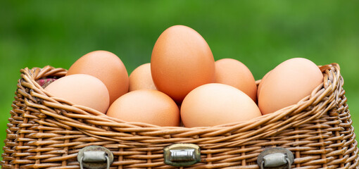 Fresh eggs in a basket. Healthy food, breakfast banner.