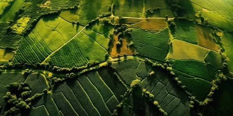 Papier Peint photo Herbe Aerial view with the landscape geometry texture of a lot of agriculture fields with different plants like rapeseed in blooming season.