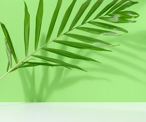 Abstract green background with palm leaf and shadow, stage for showcasing products, cosmetics