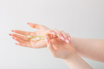 Fototapeta premium female hands with beautiful long nails with flowers on white background
