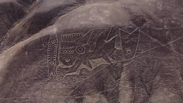 An ancient geoglyph depicting an orca or killer whale on a desert hillside. Drone flies high above, looking down. Located in Palpa, Peru. Near the more famous Nazca Lines.