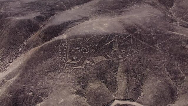 An ancient geoglyph depiction of an orca on a hillside. Part of the Palpa Lines. Drone flies backwards tilting camera up. Located in the town of Palpa in Peru. Near the more famous Nazca Lines.