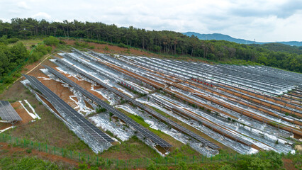 친환경 신재생에너지의 대표주자, 태양광 발전소. RE100의 기초.
