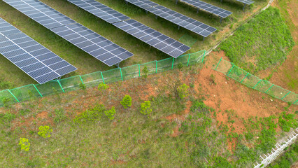 친환경 신재생에너지의 대표주자, 태양광 발전소. RE100의 기초.
