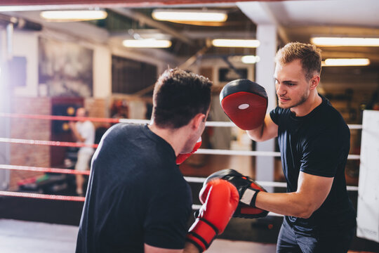 Boxers do boxing training on a gym