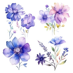 Set of floral watecolor purple blue. flowers and leaves. Floral poster, invitation floral. Vector arrangements for greeting card or invitation design