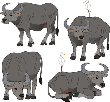 Doodle style illustrations of Asian water buffalo with egret standing on the back