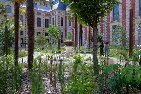 Photo du jardin de la BNF à Paris