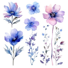 Set of floral watecolor purple blue. flowers and leaves. Floral poster, invitation floral. Vector arrangements for greeting card or invitation design