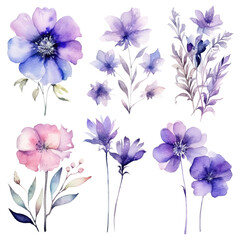 Set of floral watecolor purple blue. flowers and leaves. Floral poster, invitation floral. Vector arrangements for greeting card or invitation design