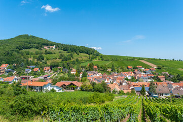 Fototapeta na wymiar Weinberglandschaft mit Ortsbild von Leinsweiler, im Hintergrund der Slevogthof. Region Pfalz im Bundesland Rheinland-Pfalz in Deutschland