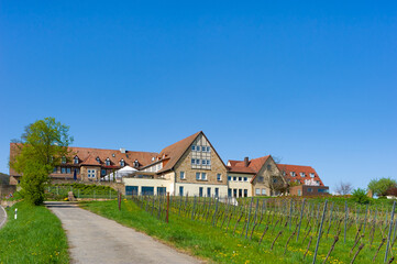 Fototapeta na wymiar Leinsweiler Hof an der Südlichen Weinstraße bei Leinsweiler. Region Pfal im Bundesland Rheinland-Pfalz