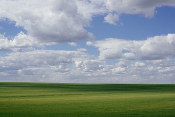 Beautiful natural scenic panorama green field and blue sky with clouds on horizon