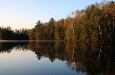 Serene Splendor: Exploring Nature's Tranquil Beauty