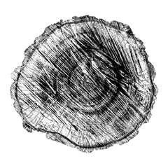 Wood texture cross section of tree rings. Cut slice of wooden stump isolated on white. Textured surface with rings and cracks. Black background made of hardwood from the forest. Vector illustration.