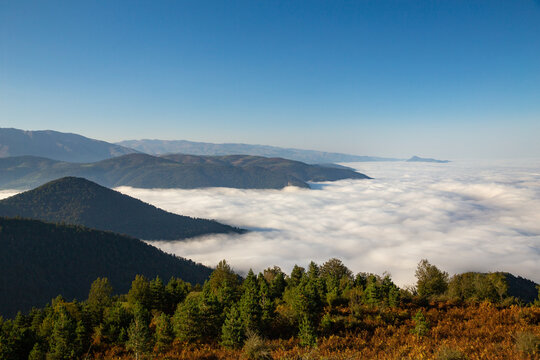 Hyrcanian Forest in Talesh Mountain Range, Gilan, Iran