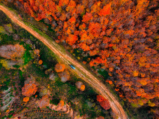 So beautifull autumn colors from sky